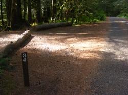 Staircase Campground Site  34 - Olympic National Park