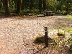 Staircase Campground Site  46 - Olympic National Park