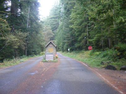 Staircase Entrance Station Olympic National Park