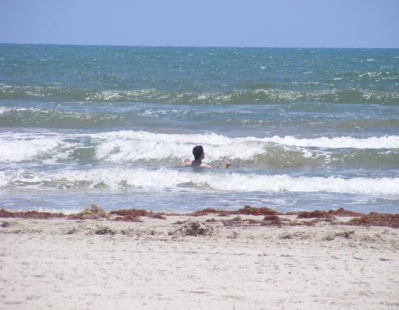 Malaquite Beach- Padre Island