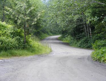 The road to Cape Flattery Trail - Olympic National Park