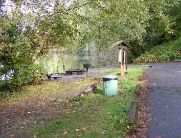 Willaby Campground Lake Quinault Olympic National Park