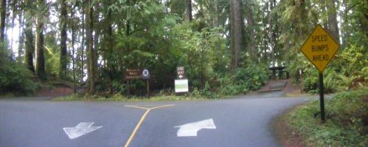 Willaby Campground Lake Quinault Olympic National Park