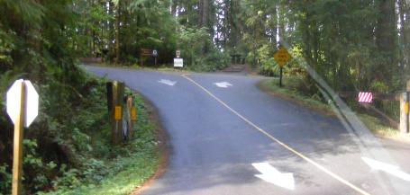 Willaby Campground Lake Quinault Olympic National Park