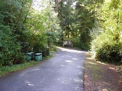 Willaby Campground Road  Olympic National Park