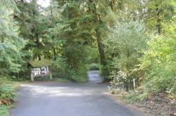 Willaby Campground Road  Olympic National Park