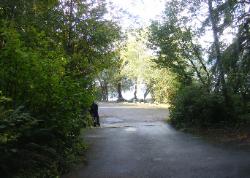 Willaby Campground Road  Olympic National Park