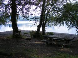 Willaby Campground Road  Olympic National Park