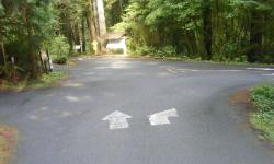 Willaby Campground Road  Olympic National Park