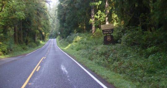 Turn to Willaby Campground Lake Quinault Olympic National Park