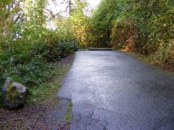 Willaby Campground Olympic National Park Site 11