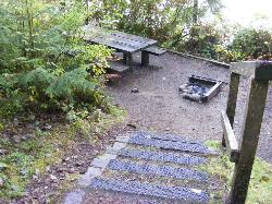 Willaby Campground Olympic National Park Site 11