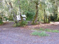 Willaby Campground Day Use Area Lake Quinault Olympic National Park